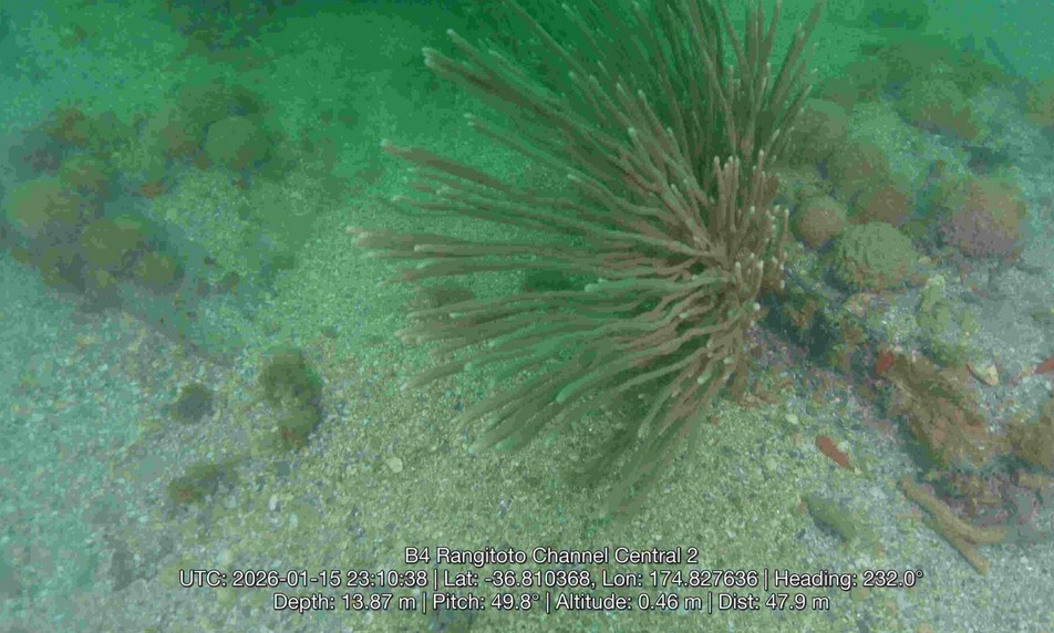 AUV for Autonomous Transect Surveys